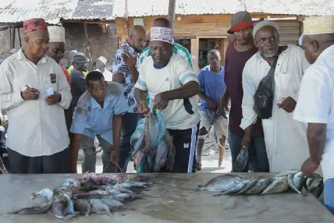 Climate Change Impacts Tanga's Fishing Industry