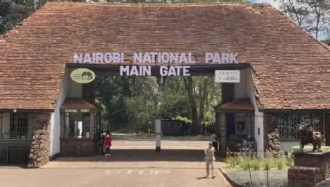 Court Halts Construction in Nairobi National Park