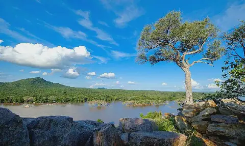 ANALYSIS: Dig first, find water later: Limpopo’s industrial insanity
