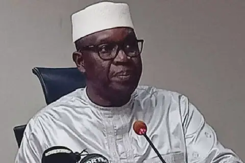 Mali Recovers 761 Billion Francs from Mining Sector Audit