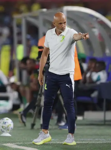 Miguel Cardoso Backs Sundowns Strikers to Regain Form Against Durban City