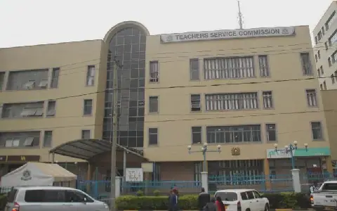 Fresh petition could stall TSC CEO recruitment