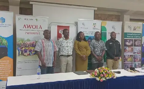 Uganda’s organic farming drive turns to policy, trade and market access