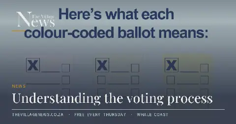 Understanding the voting process