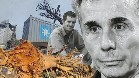 The tree-loving Georgian billionaire, the Pretoria landscaper and the SA baobab export row