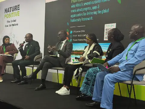 African countries struggle to mobilise biodiversity funding - AfDB official
