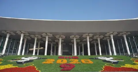 African Businesses Seek New Opportunities at China's Import Expo