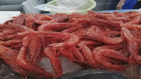Tunisia Secures Increased Quota for Deep-Sea Red Shrimp in Mediterranean