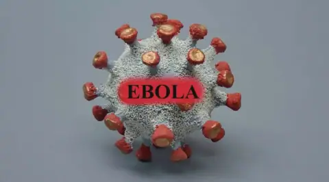 Democratic Republic of Congo Reports Over 5,000 Ebola Deaths