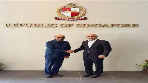 Egypt's Sisi Sends Letter to Singaporean President, Invites Him to TechSkills 2027 Forum