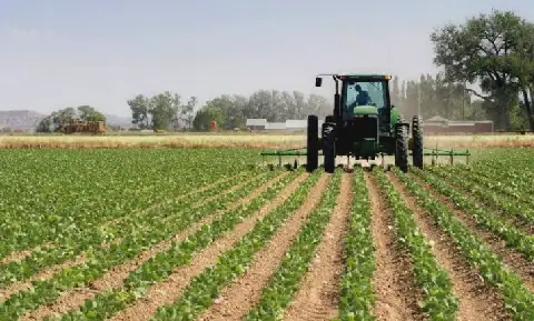Tanzania Aims to Build $100 Billion Agricultural Economy by 2050