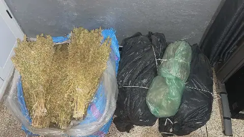 إقليم آسفي.. ضربة أمنية جديدة للدرك الملكي ببوكدرة تُسقط شخصين وتحجز أزيد من 200 كيلوغرام من الكيف