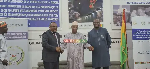 Guinean Media Federation Presents Executive Bureau to Regulatory Body