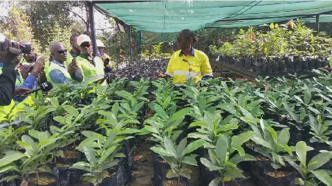 Rio Tinto Leads Biodiversity Restoration Efforts in Guinea's Simandou Region