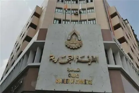Egyptian Businessman Calls for Reduced Profit Margins to Ease Price Burden