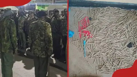 NACADA