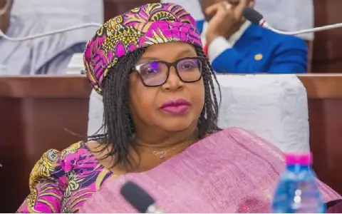 Togolese Opposition MP Rejects Vice-Presidential Post in Women's Parliamentary Caucus