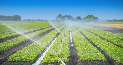 Arab Investment and Agricultural Development Institution Eyes New Projects in Tunisia