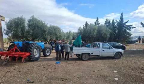 Tunisia Recovers 47 Hectares of Agricultural Land and Over 4,800 Olive Trees
