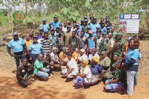 Côte d’Ivoire-AI / Un groupe minier et la fondation YeS plantent plus de 33 000 arbres dans la forêt classée de Sangoué