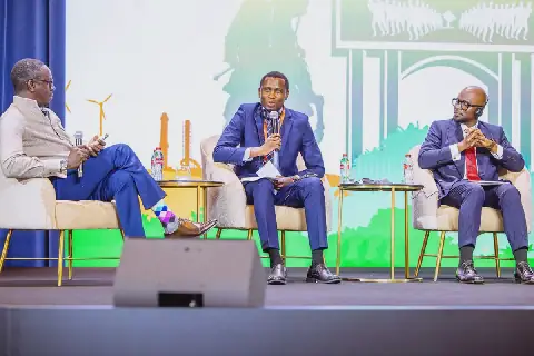 Tanzania Opens Energy Sector to Private Investment