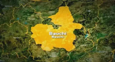 Bauchi to boost specialised education, skills devt with mining institute