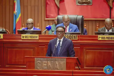 RDC : après les réserves de la Cour constitutionnelle, le Sénat adopte à nouveau la loi référendaire