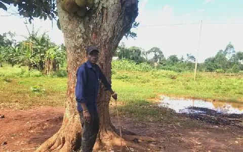 Lightning strike kills two sugarcane loaders in Jinja