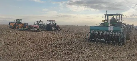 Algeria Launches New Farming Season in Biskra