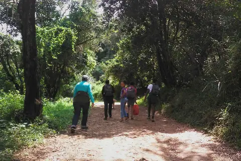Community Group Plans Dinosaur-Themed Lodge in Oloolua Forest
