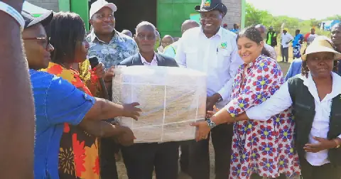 Government and Thika Cloth Mills Partner to Distribute Ksh400m Bt Cotton Seeds