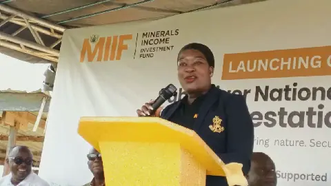 MIIF and Forestry Commission Launch Tree Planting Initiative to Restore Subri Forest