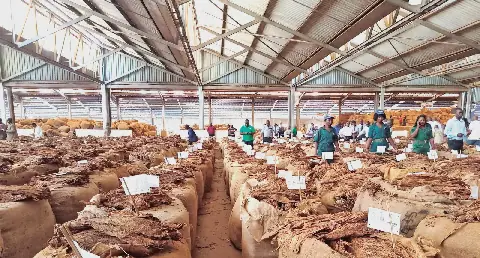 Caution over Malawi’s ‘reliance’ on NGO forex