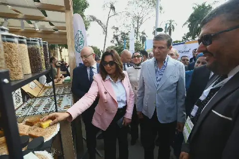 Egypt’s medicinal, aromatic plant exports reach $852m in 2025