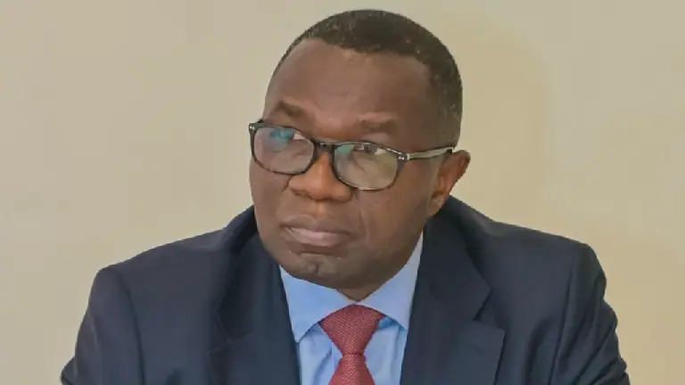 Congolese Minister arrives in Dar es Salaam to address cross-border trade challenges