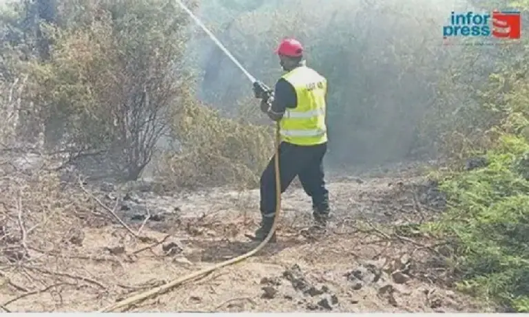 Forest Fires Near Porto Novo