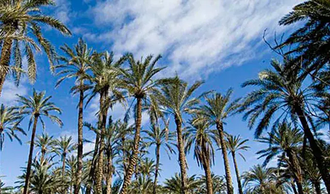 GEWEET project supports green economy in Tunisia